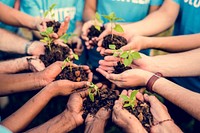 Group of environmental conservation people hands planting in aer