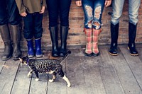 Group of people standing in a row with a cat and copy space on w