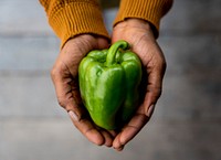 Hand holding fresh organic bell pepper nature product