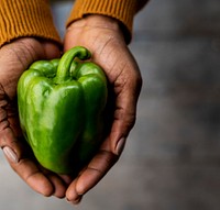 Hand holding fresh organic bell pepper nature product