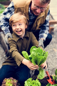 Little Boy Hands Holding Fresh Vegetable From Farm