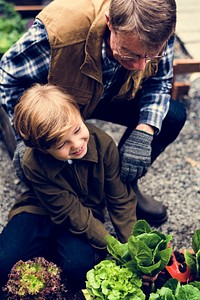 Family picking vegetable from backyard garden