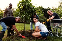 Group of Diverse People Planting Tree Together