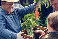 Adult Farmer Man Offering Fresh Carrot