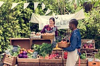 Greengrocer preparing organic fresh agricultural product at farm