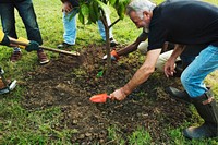 Group of environmental conservation people planting together