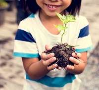 Little Boy Hand Holding Little Tree on Hands