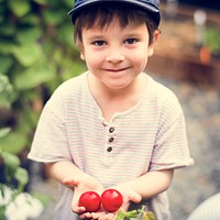 Little boy with handful of organic fresh agricultural tomato