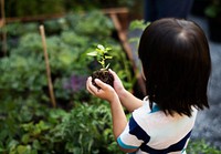 Environmental conservation child hand planting