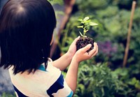 Girl Holding Soil Green Plant