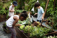 Group of children planting vegetable in greenhouse