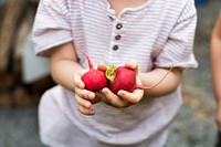 Little boy with handful of organic fresh agricultural radish