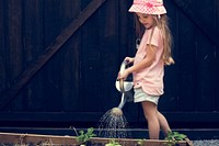 A girl is watering a plants