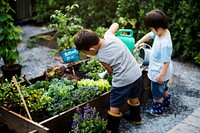 Little boys watering the plants