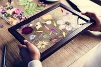 Dry flowers craft decorative on wooden table