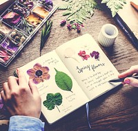 Hands Writing Detail of Dried Flowers Collection in Notebook Han