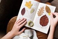 Hands Making Dried Flowers Collection in Book Handmade Work Hobby