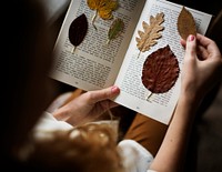 Pressed leaves on book pages