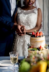 Newlywed Couple Hands Cutting Cake Together