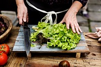 Aerial view of hands with knife and green oak salad on cut board