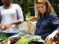 Caucasian woman choosing buying fresh organic vegetable