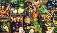 Aerial view of various fresh organic vegetable on wooden table