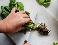Closeup of hands with knife cutting fresh organic vegetable