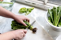 Cutting fresh vegetable with knife