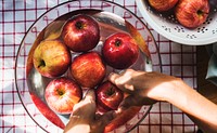 Aerial view of hands washing apples in bowl