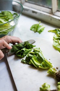 Closeup of hands with knife cutting fresh organic vegetable