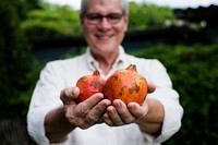 A senior man holding pomegranate