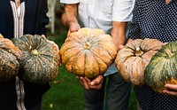 Diverse people holding a fresh pumpkin
