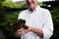 Senior adult man holding a green vegetable on hands