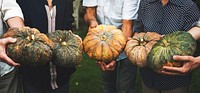 Diverse people holding a pumpkin