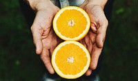 Hands holding orange organic produce from farm