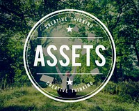 Assets Wealth Possession Money Resources Concept