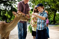 Young caucasian boy feeding the deer at the zoo