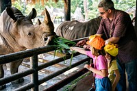 Young caucasian girls feeding rhino at the zoo