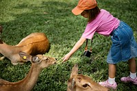 Young caucasian girl feeding the deers at the zoo