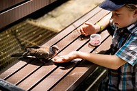 Young caucasian boy feeding the bird