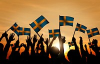 Group of People Waving Swedish Flags in Back Lit