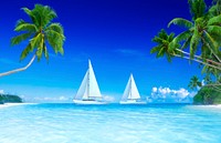 Yacht blue sky and palm tree.