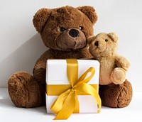 A gift box and two teddy bears<br />