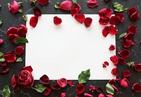 Rose petals frame with white copy space