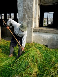 Farmer in china.