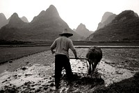 On the way to plough a rice paddy, Guangxi, China.