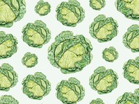 Hand drawn cabbage patterned background illustration