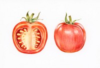 Hand drawn tomato illustration
