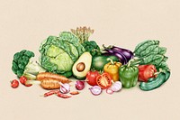 Hand drawn vegetables collection