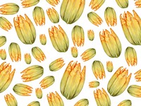 Hand drawn squash blossom patterned background illustration